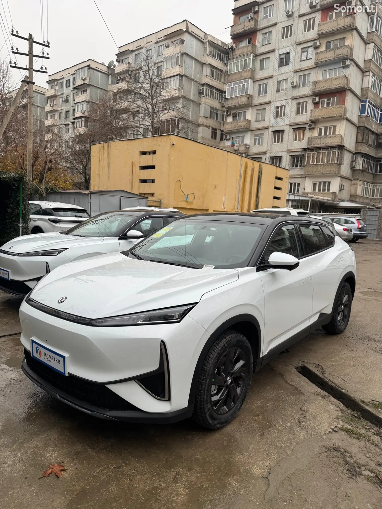 Dongfeng L7, 2025-1