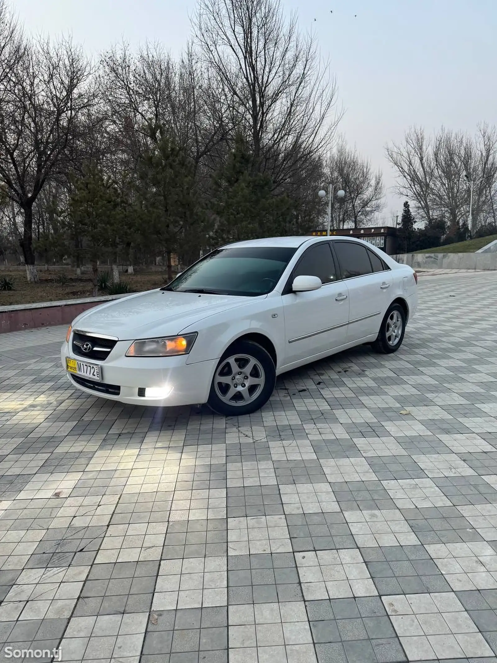 Hyundai Sonata, 2006-1