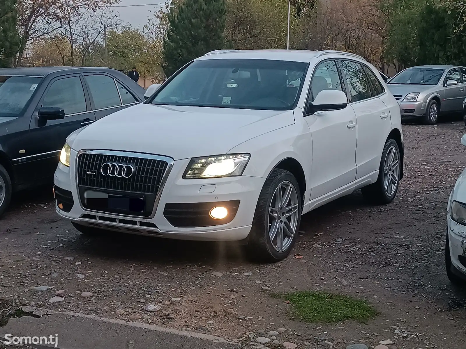 Audi Q5, 2010-1