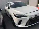 Lexus RX series, 2024 на заказ-2