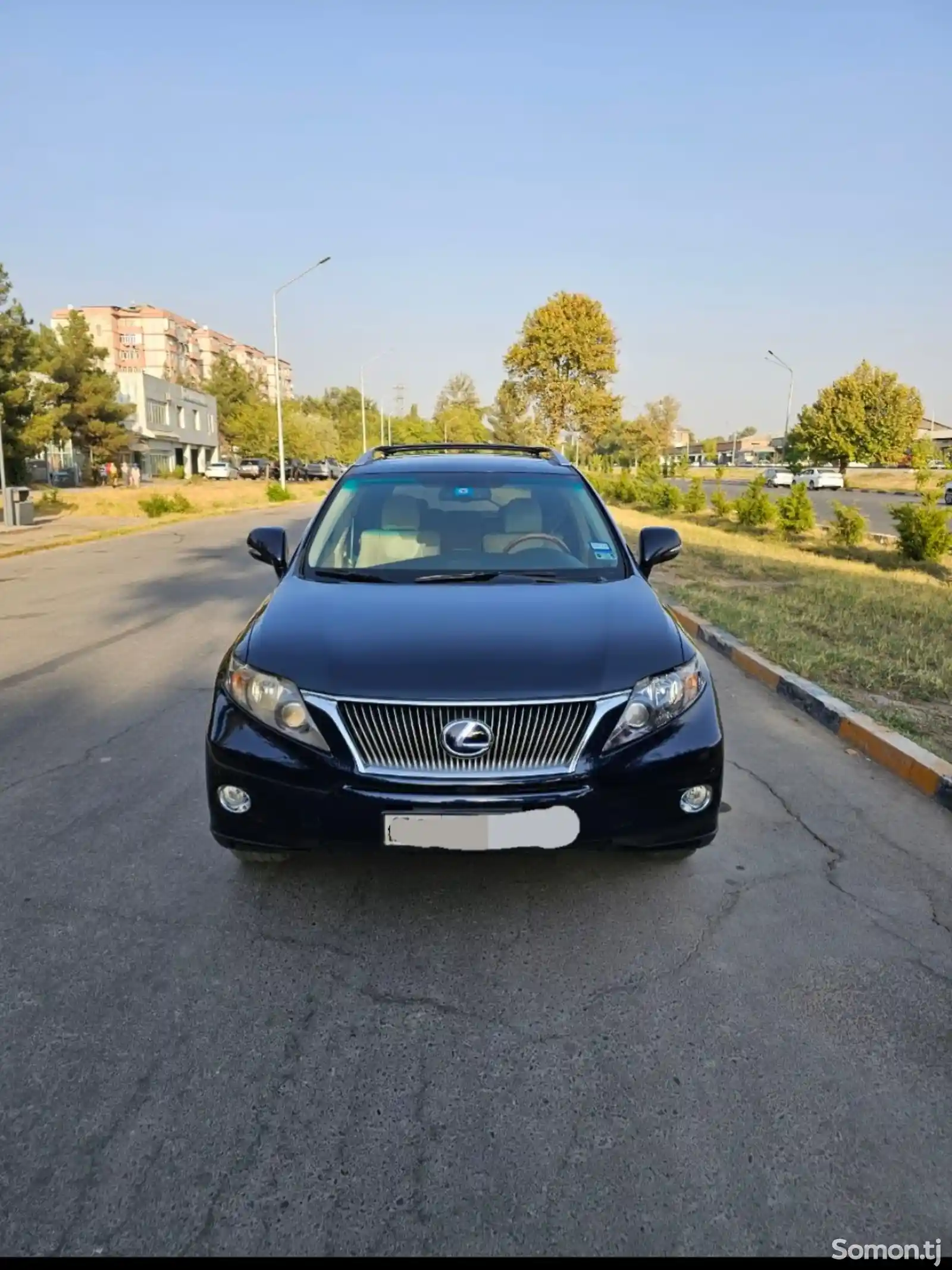 Lexus RX series, 2010-1