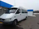 Пассажирский Mercedes benz Sprinter, 2001-5