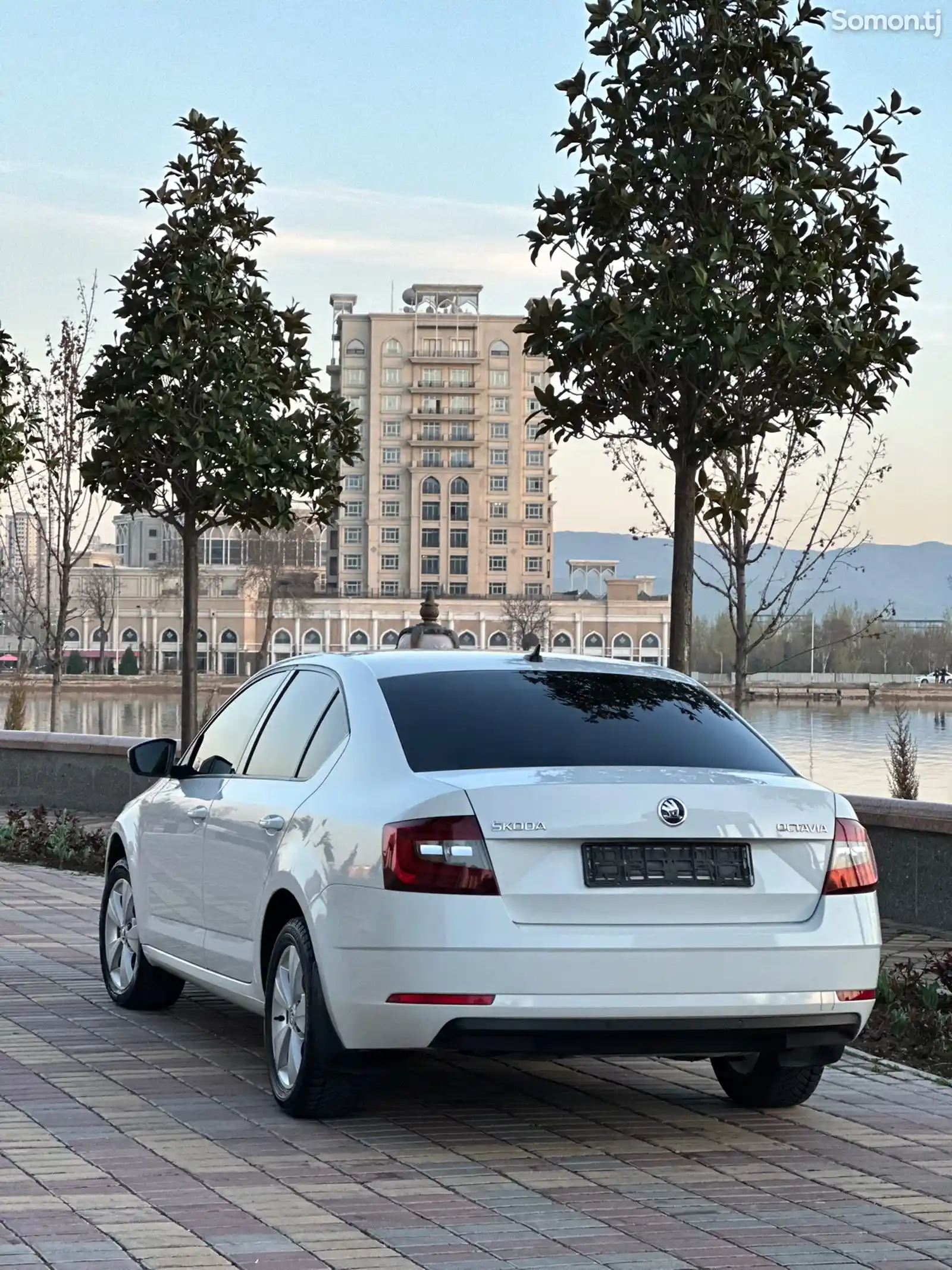 Skoda Octavia, 2019-4