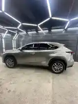 Lexus NX series, 2016-5