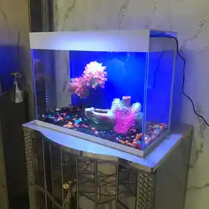 Подарочный аквариум