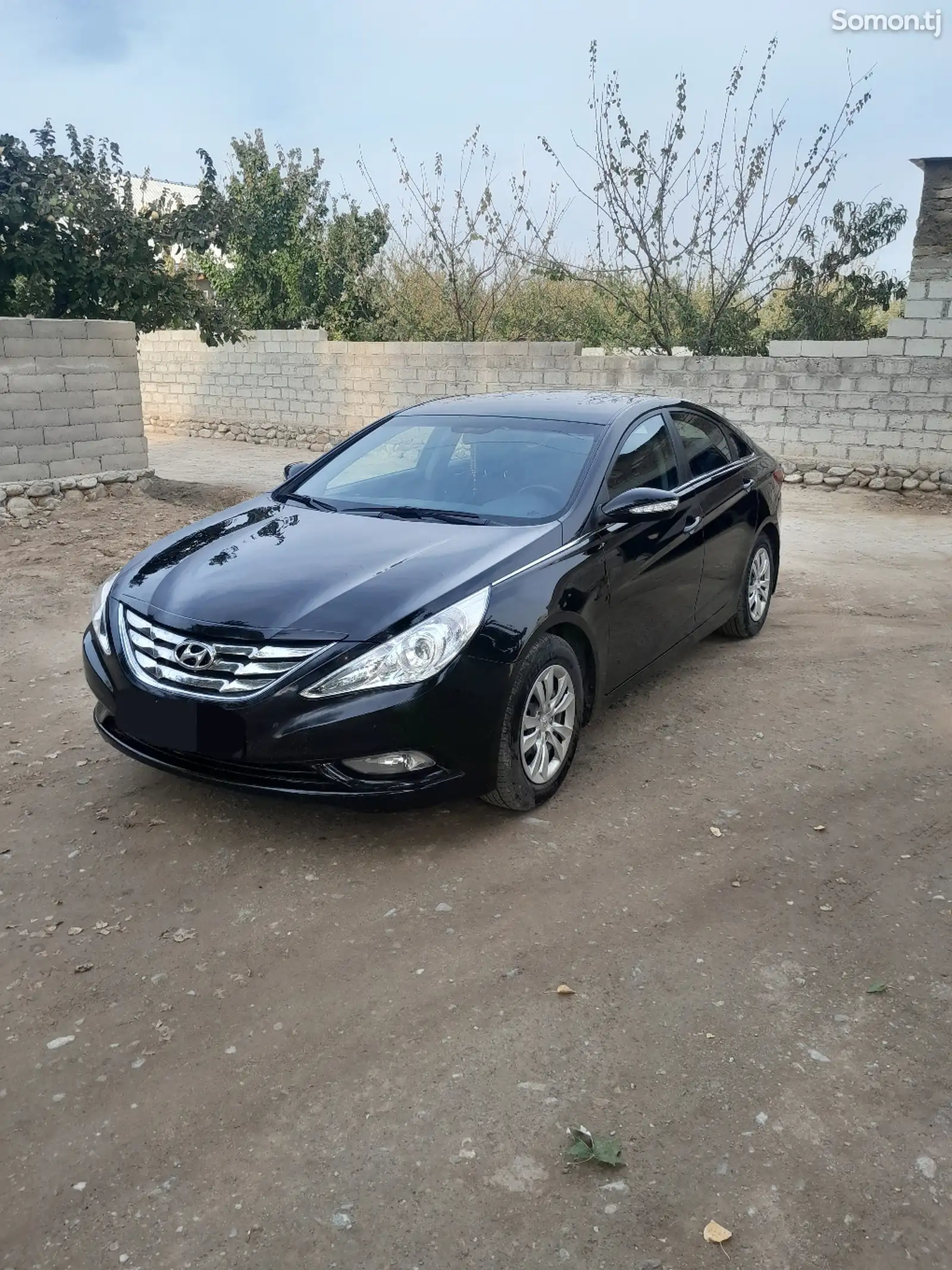 Hyundai Sonata, 2010-1