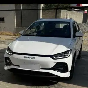 BYD E2, 2024