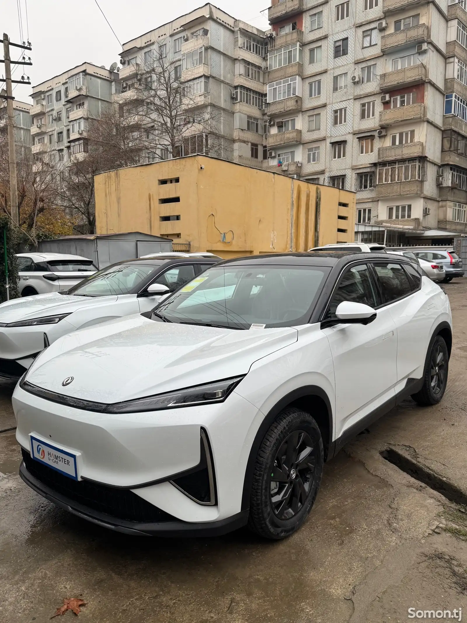 Dongfeng L7, 2025-1