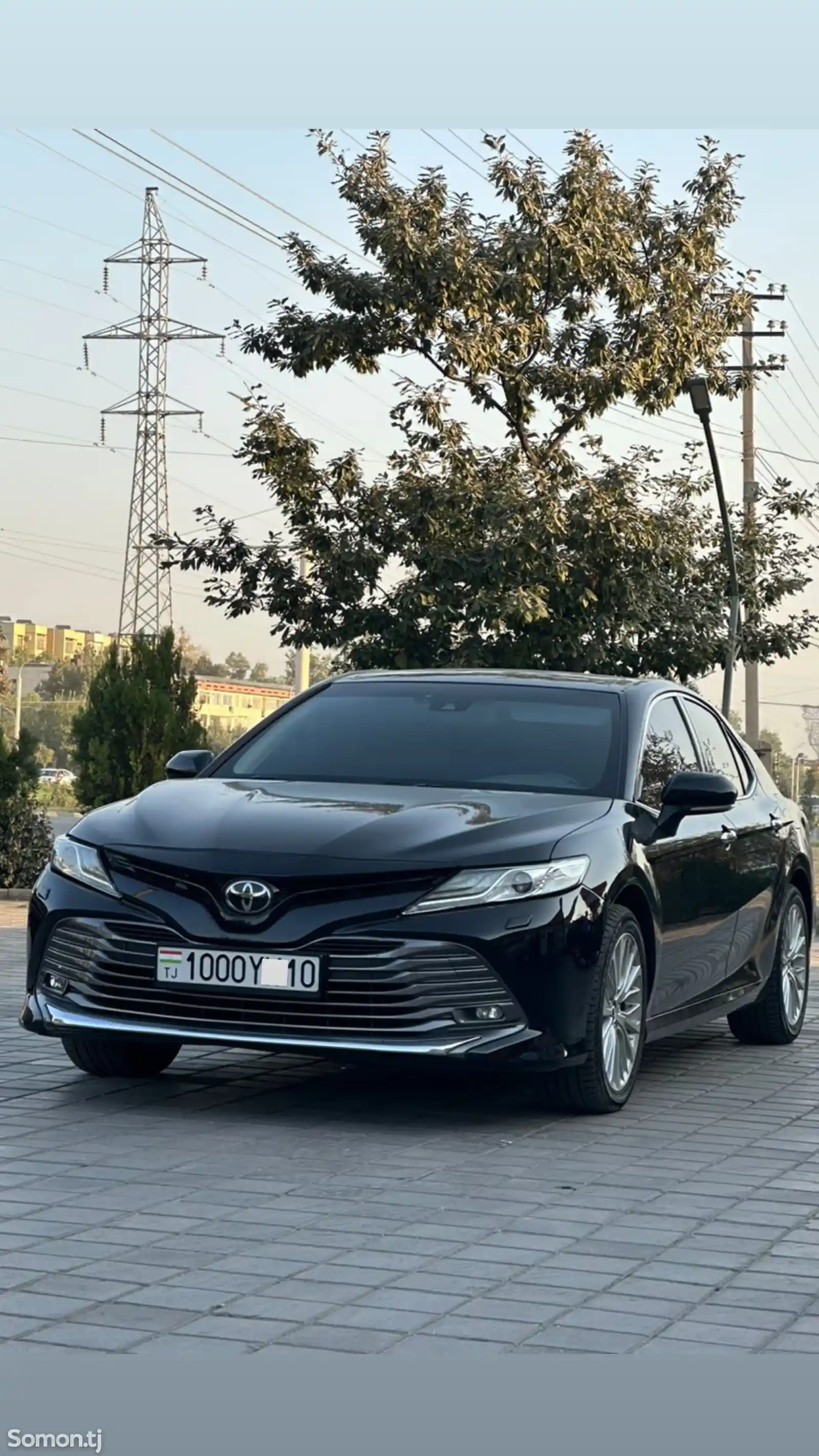 Toyota Camry, 2019-3