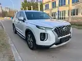 Hyundai Palisade, 2020-3