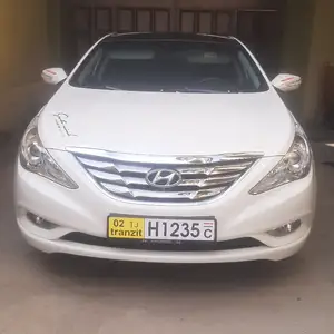 Hyundai Sonata, 2010