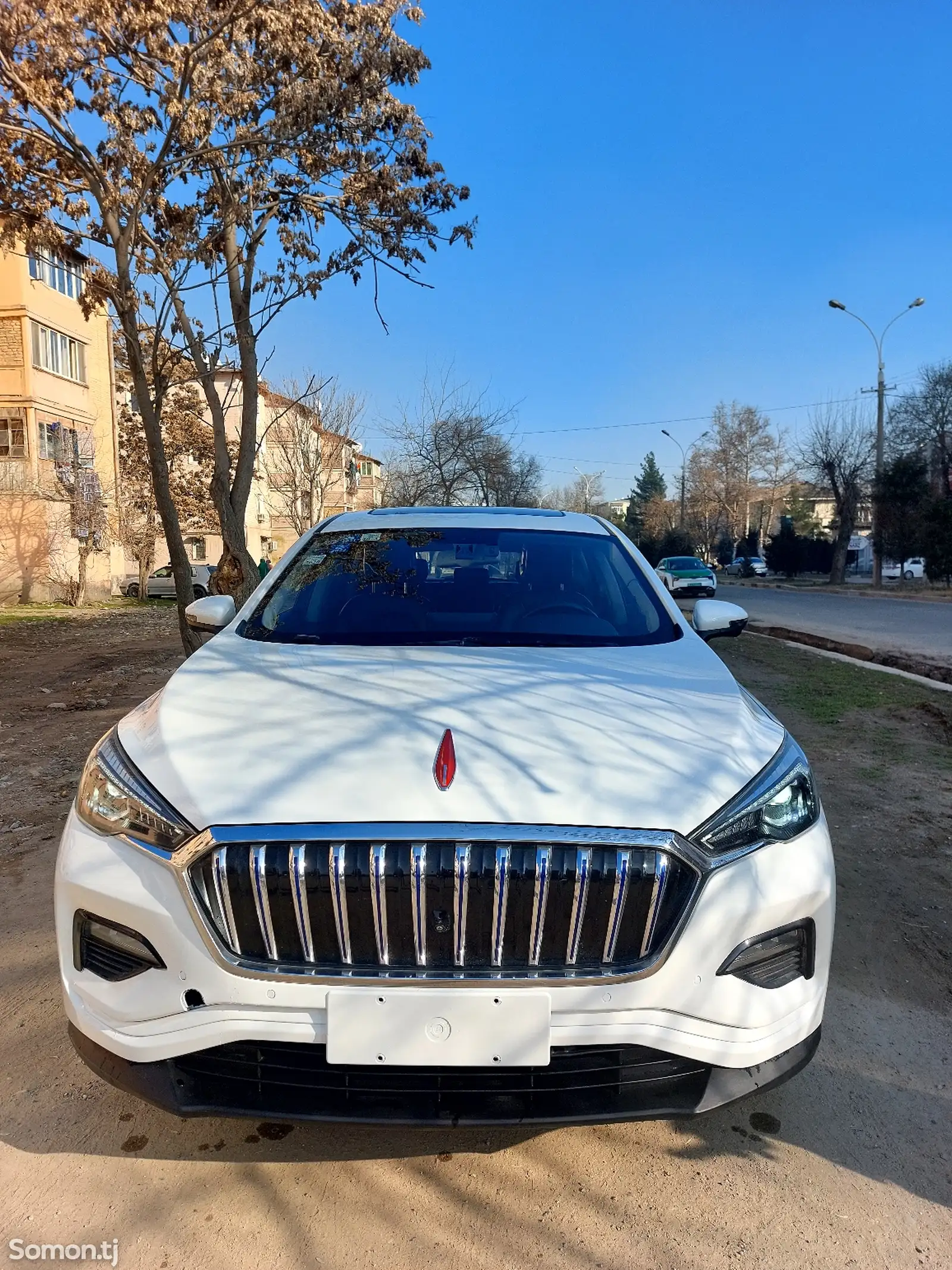 Hongqi E-HS3, 2019-1