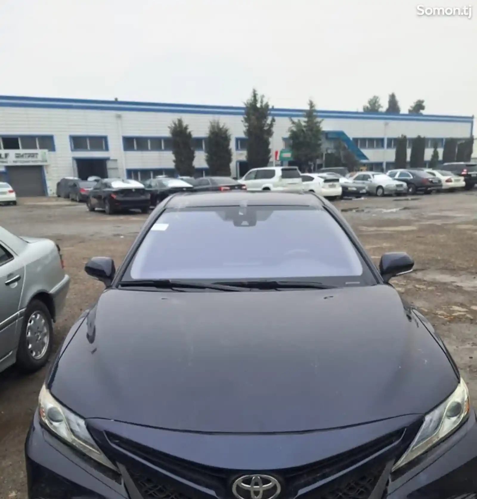 Лобовое стекло фиолетовый на Toyota Camry 6-1