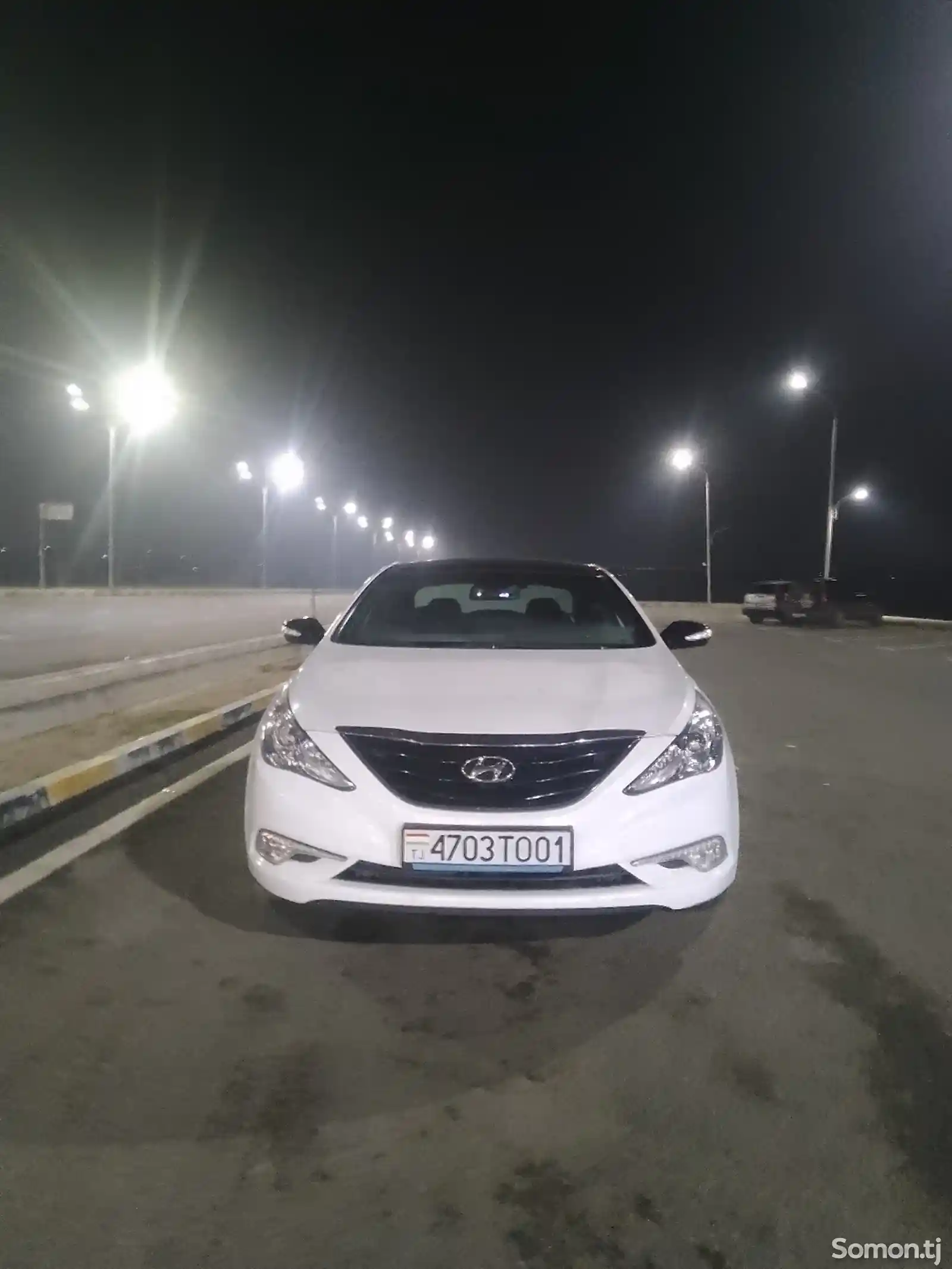 Hyundai Sonata, 2010-3