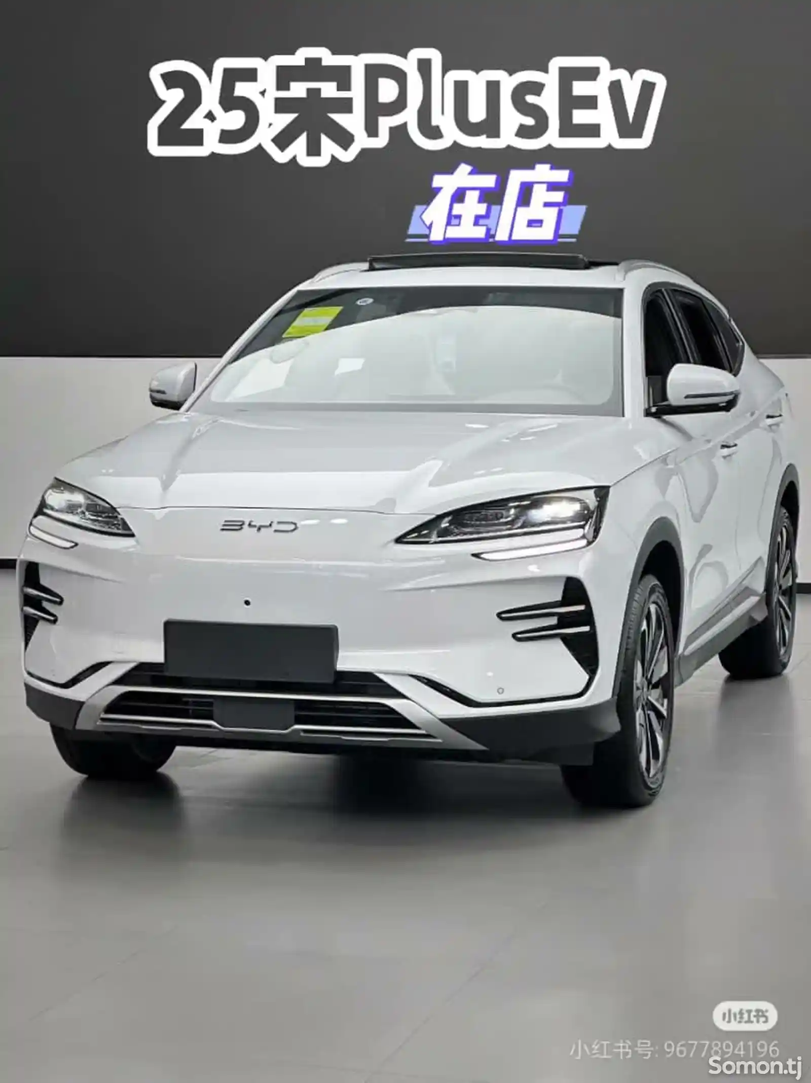 BYD Song Plus Flagship, 2024 на заказ-1