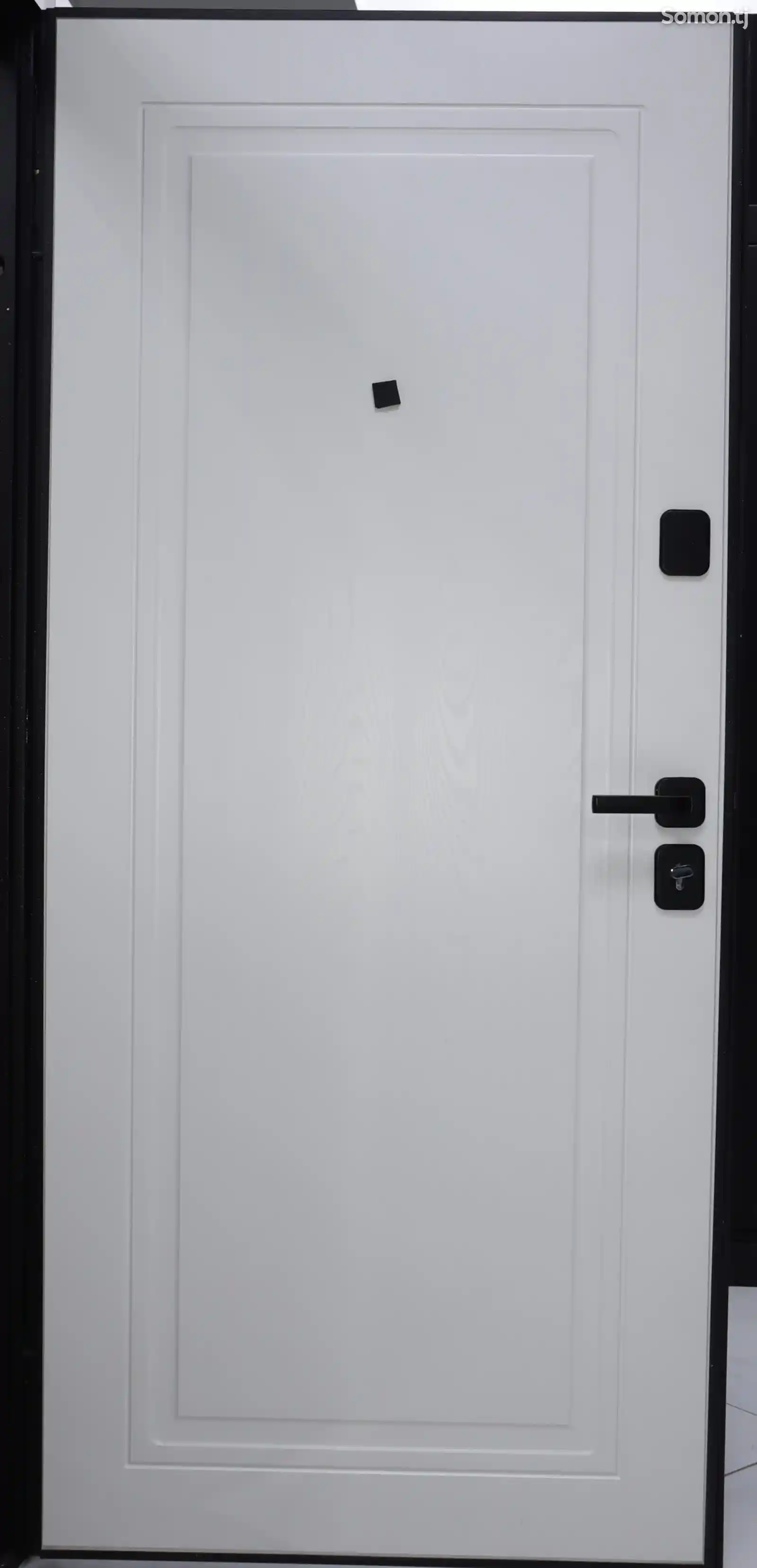 Дверь входная Меги 75 2050х970мм правая/черный-2