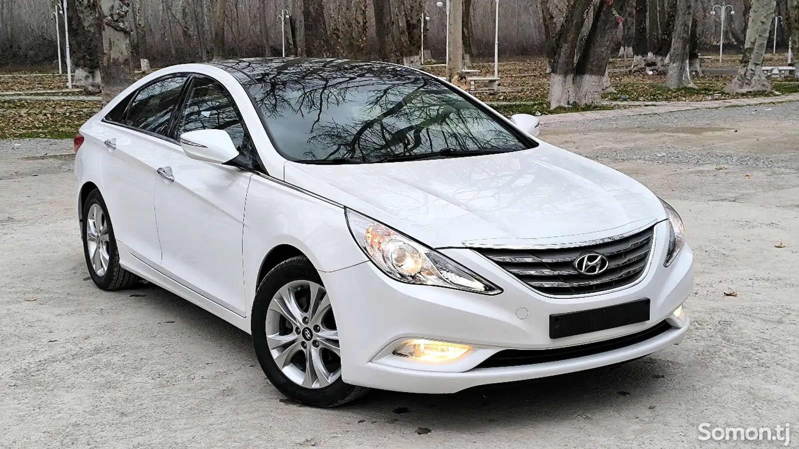 Hyundai Sonata, 2011-1