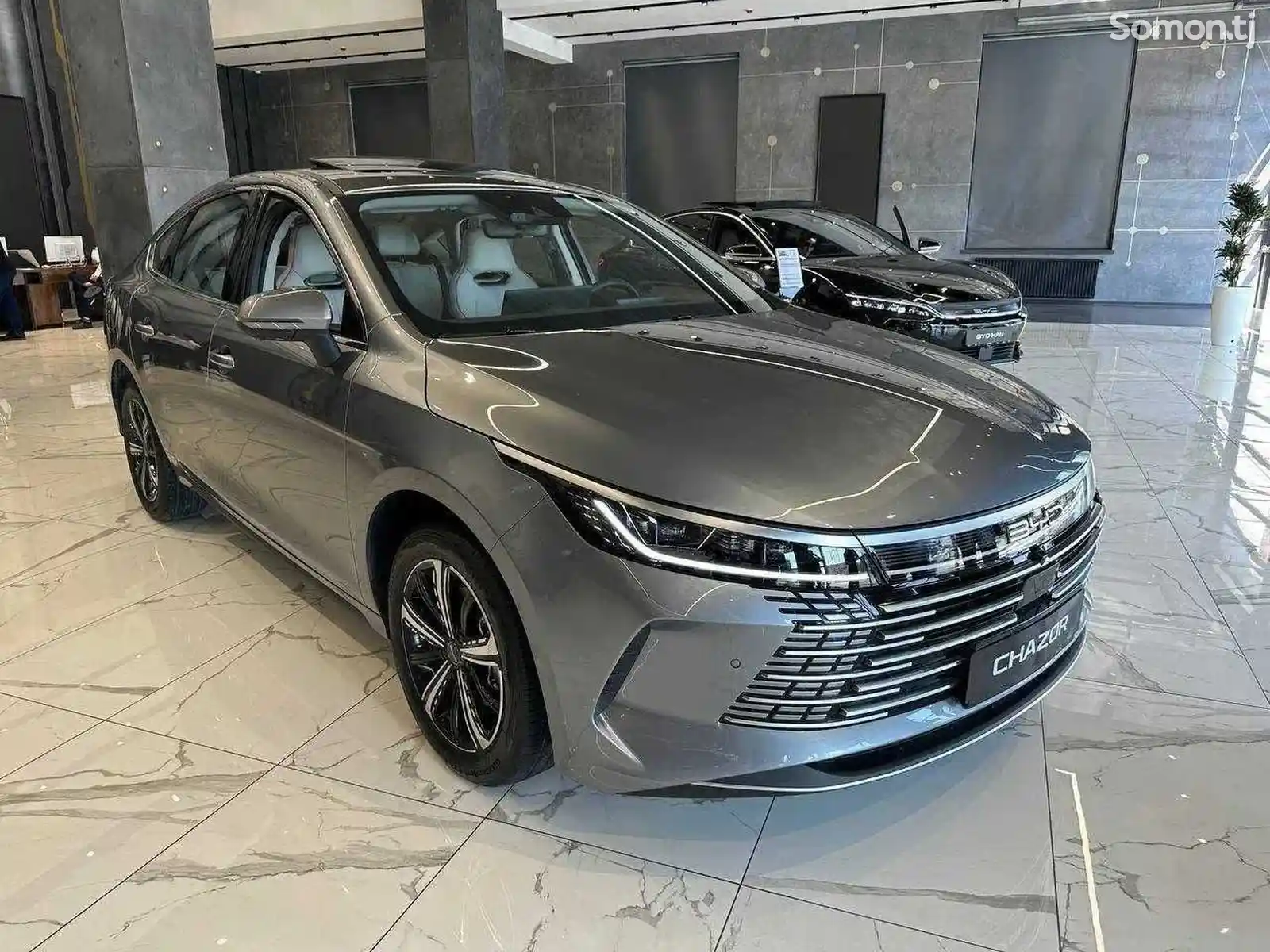 BYD Chazor, 2024-1