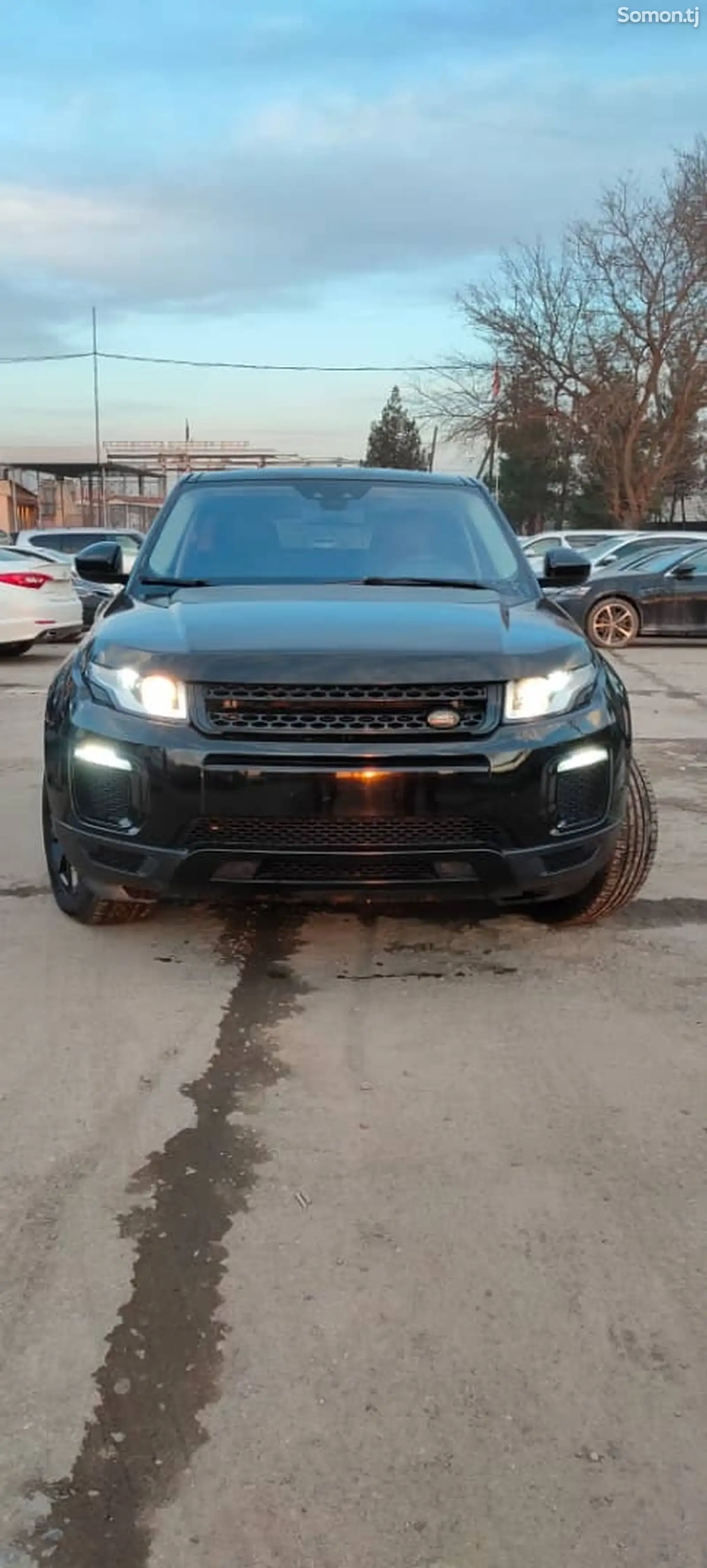 Land Rover Evoque, 2019-1