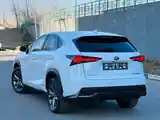 Lexus NX series, 2021-4