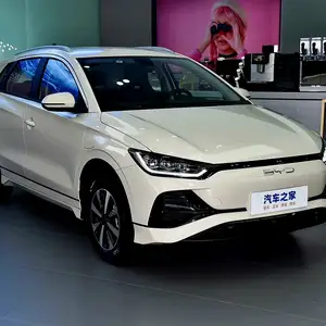 BYD E2, 2024