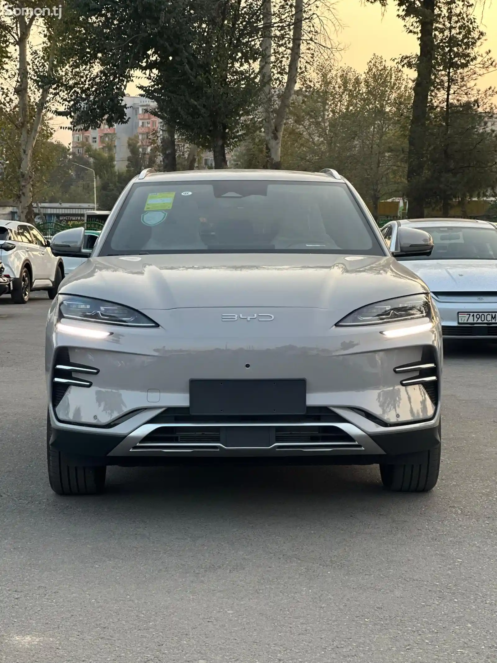 BYD Song Plus Flagship, 2024-10