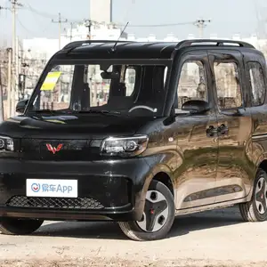 Wuling Motors , 2025