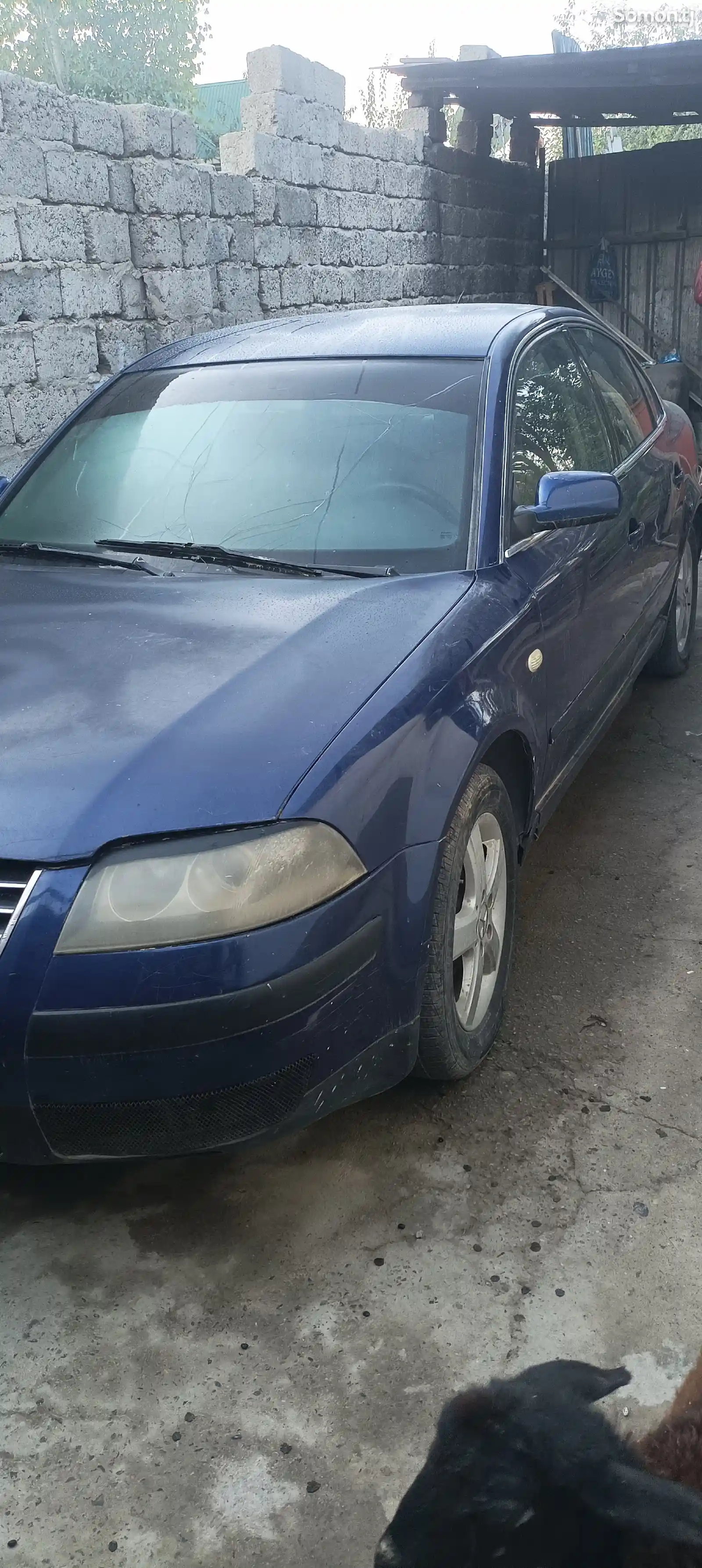 Volkswagen Passat, 2001-4