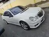 Mercedes-Benz E class, 2008-3