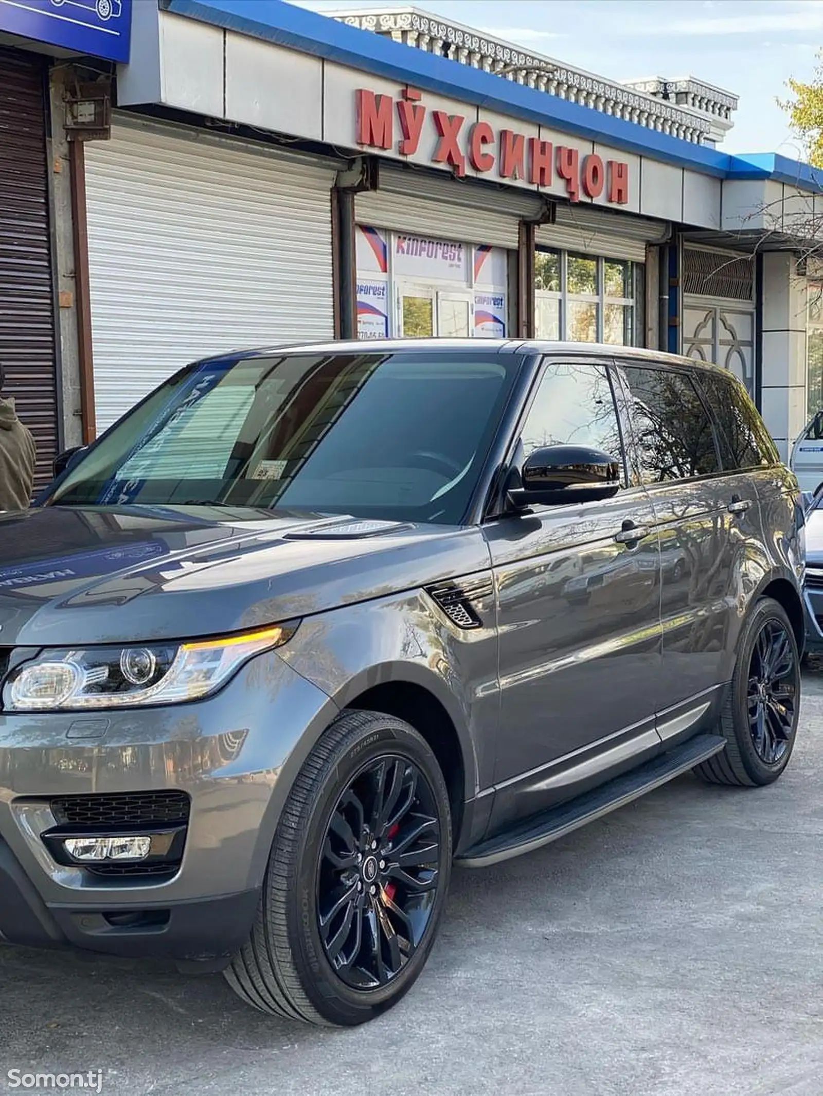 Пороги для Range Rover-1