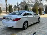 Hyundai Sonata, 2010-3