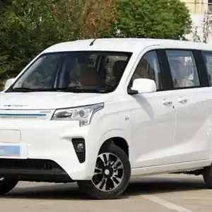 Dongfeng Landian E5, 2024