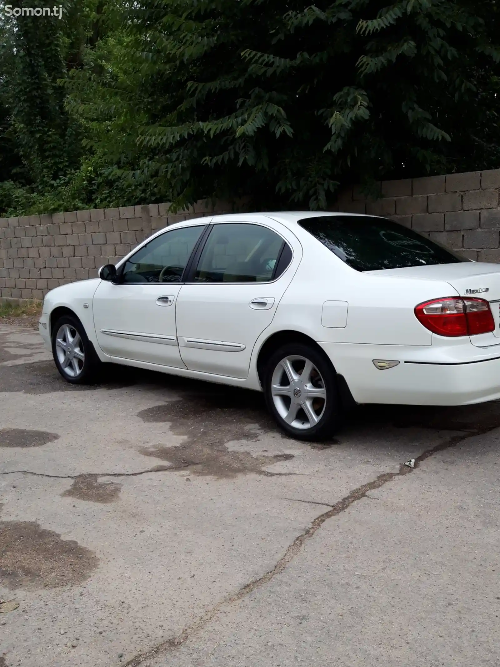 Nissan Maxima, 2005-2