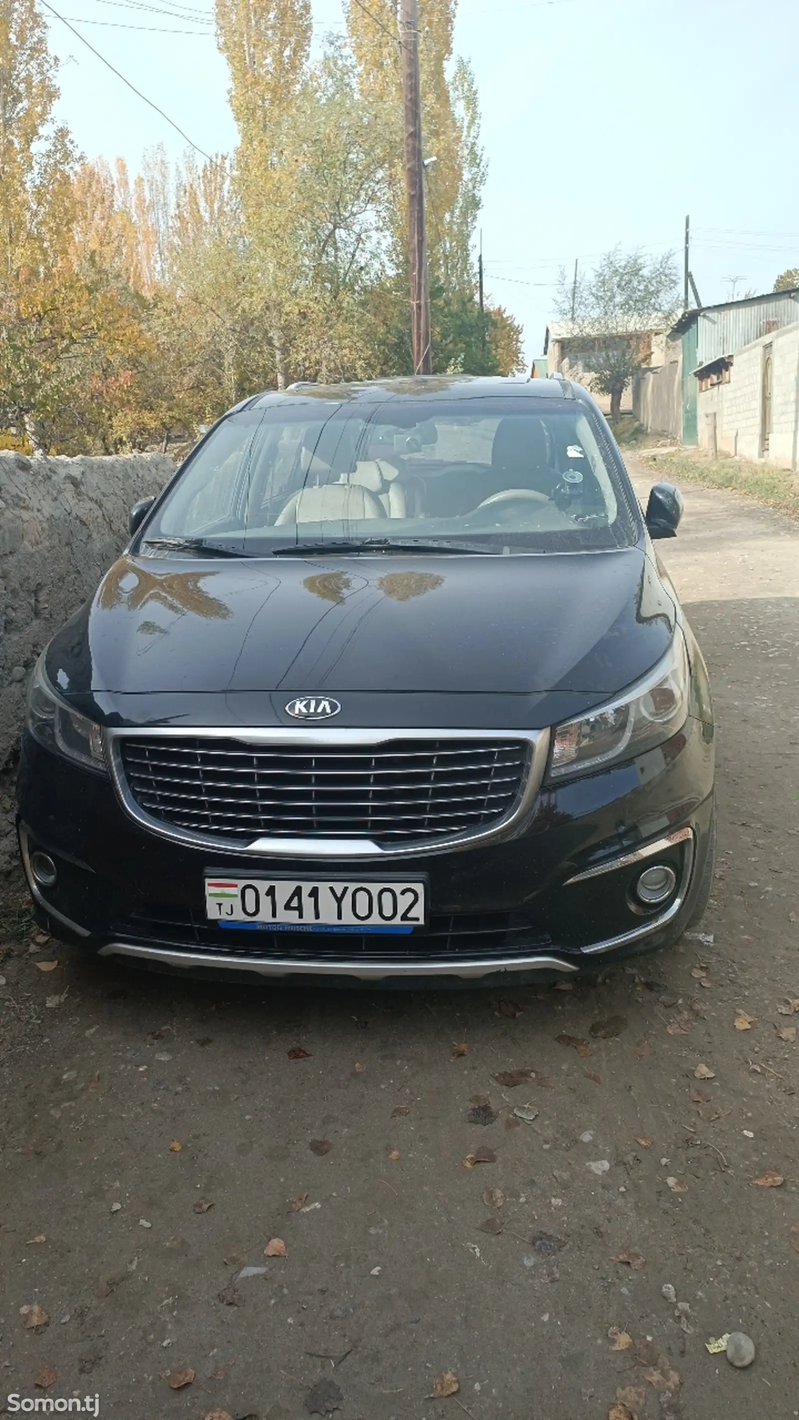 Kia Carnival, 2015-1