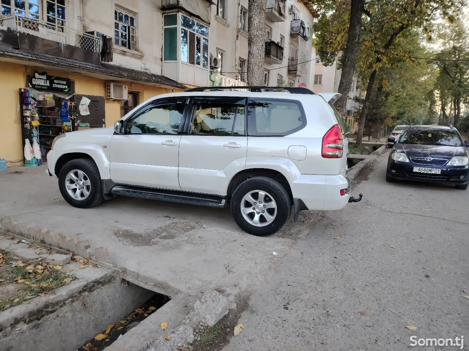 Toyota Land Cruiser Prado, 2007-6