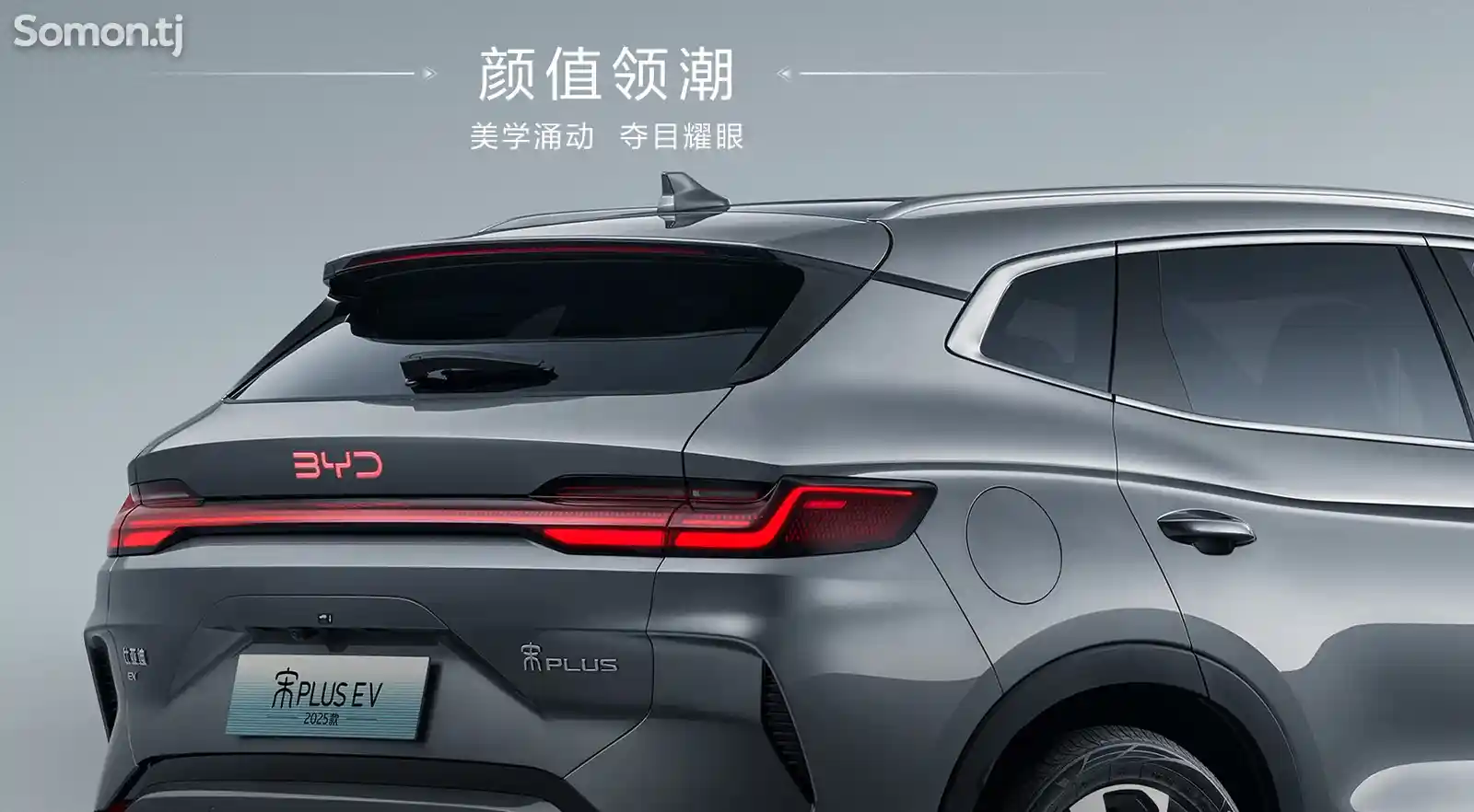 BYD Song Plus Flagship, 2024-9