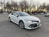 Toyota Camry, 2019-3