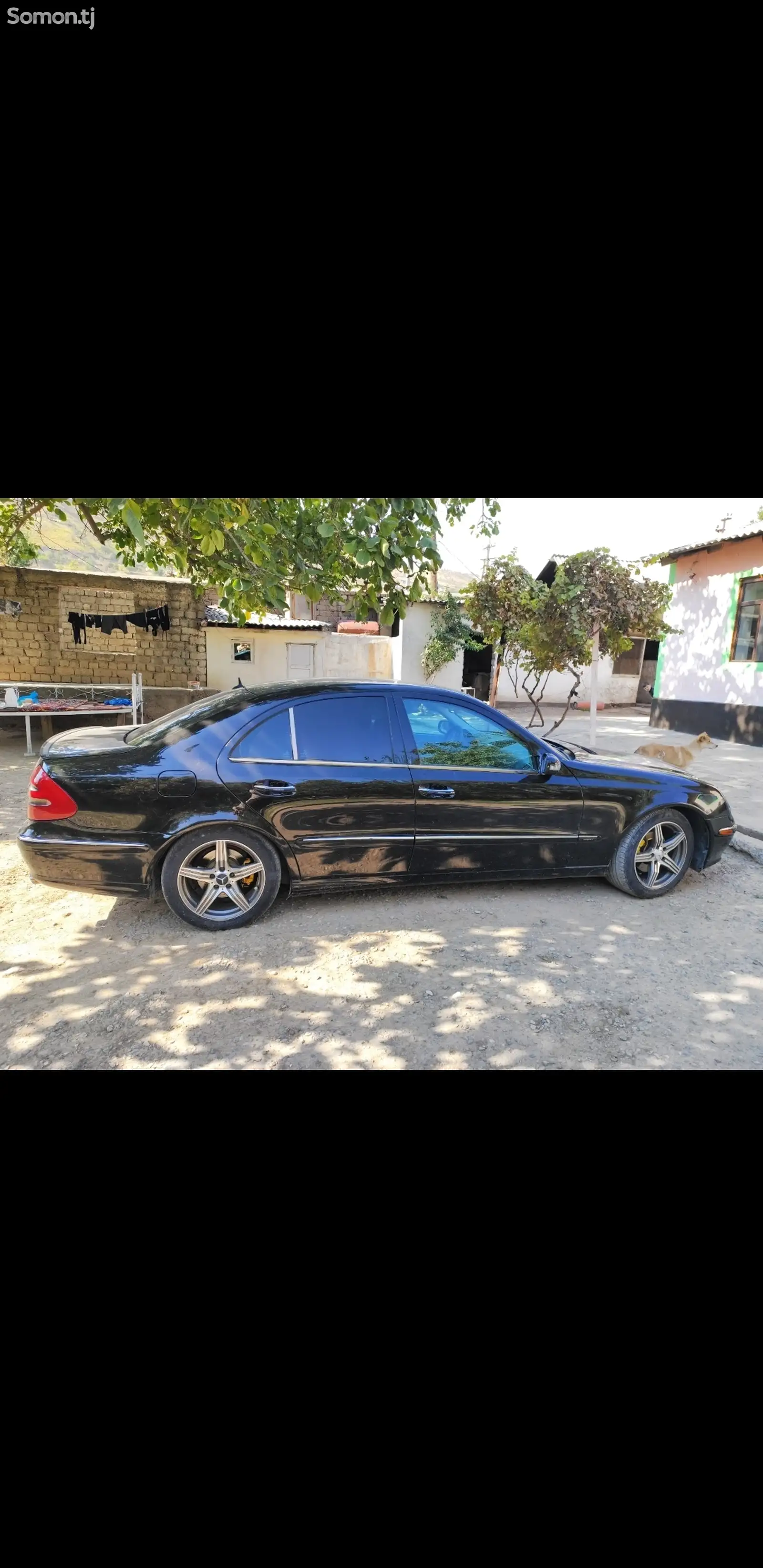 Mercedes-Benz E class, 2005-4