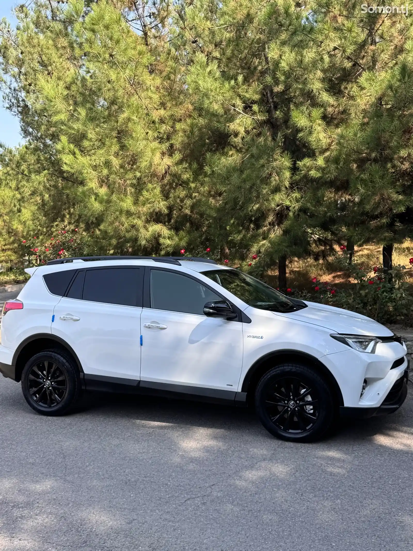 Toyota RAV 4, 2019-12