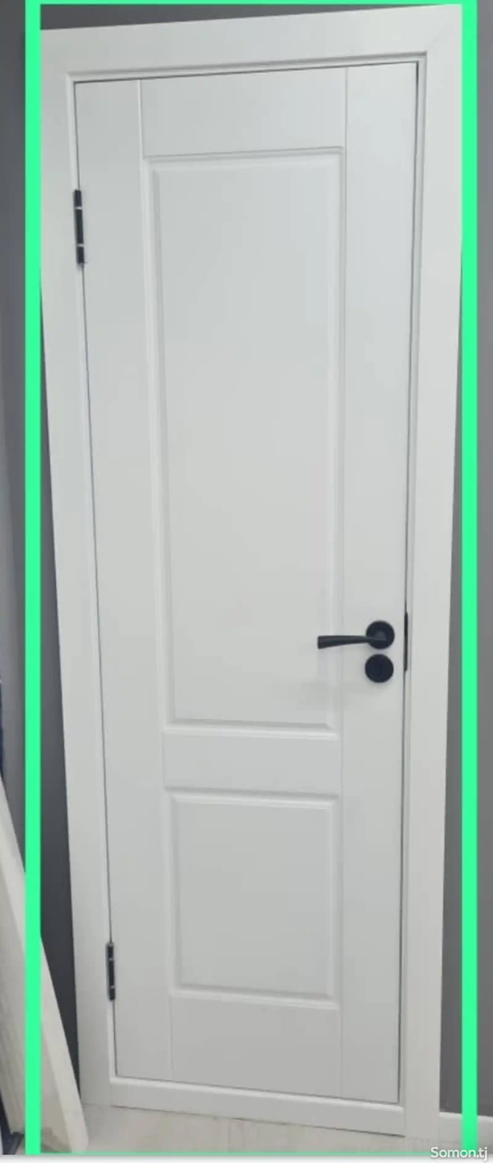 Двери-11