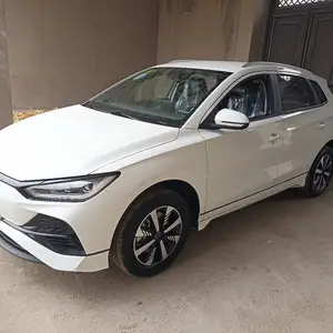 BYD E2, 2024