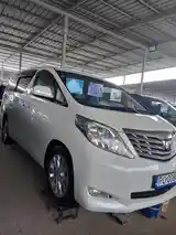 Toyota Alphard, 2009-3