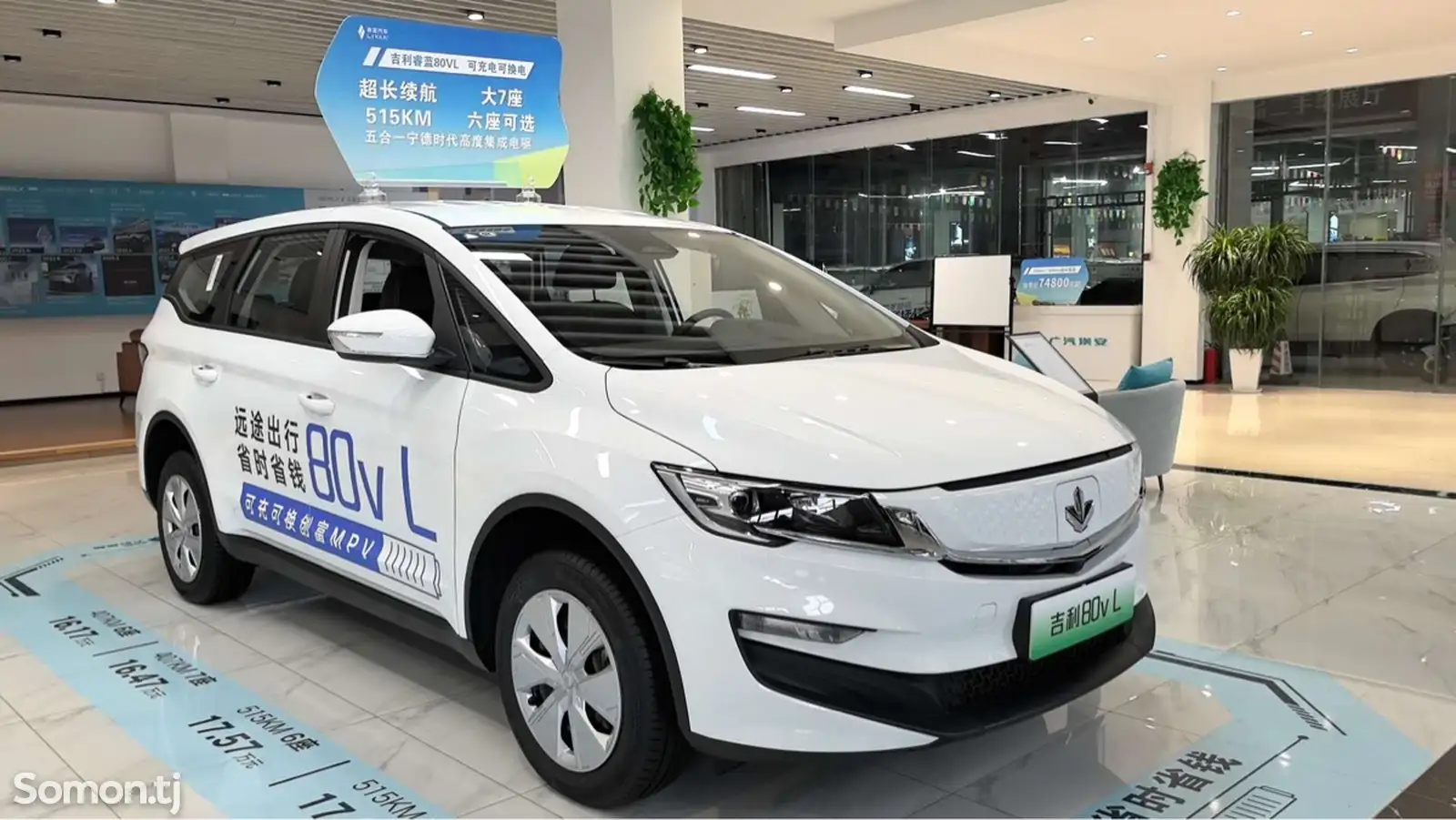 BYD Song Plus Flagship, 2024 на заказ-1