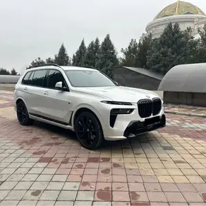 BMW X7, 2023