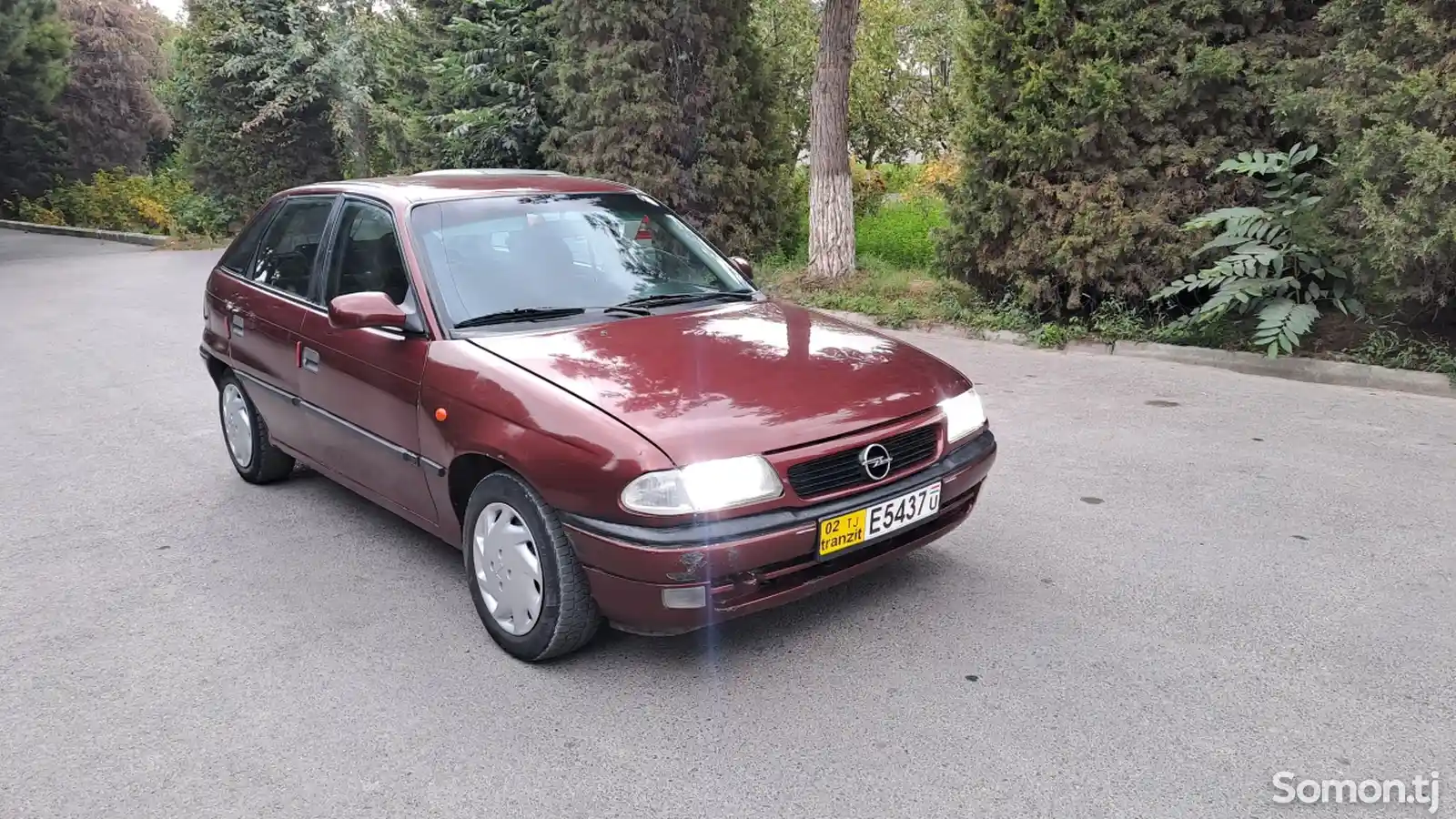 Opel Astra F, 1993-4