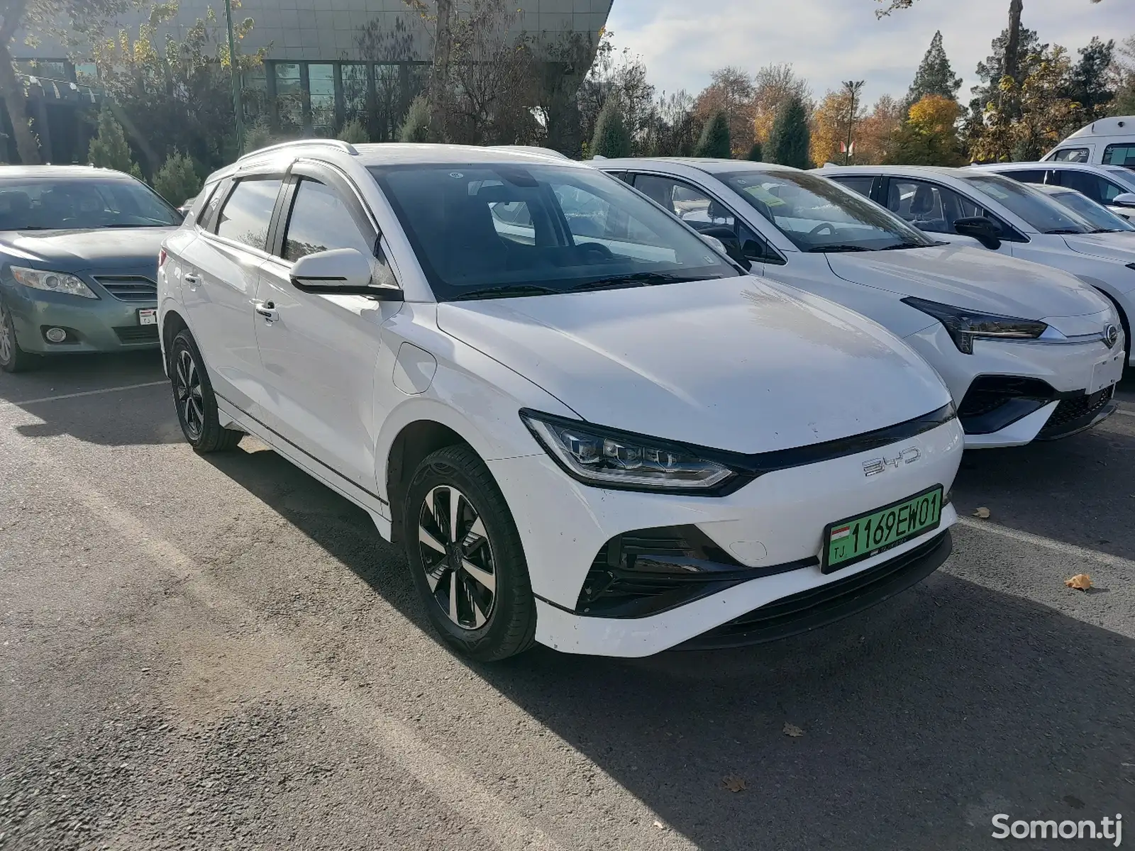 BYD E2, 2024-1