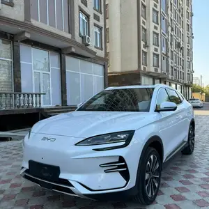 BYD Song Plus Flagship, 2024