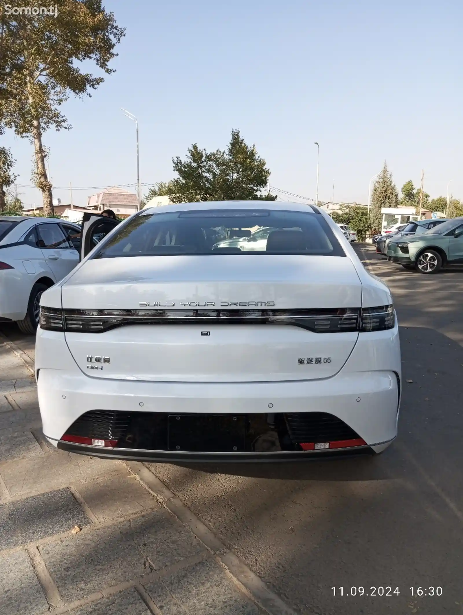 BYD Qin Plus, 2024-2