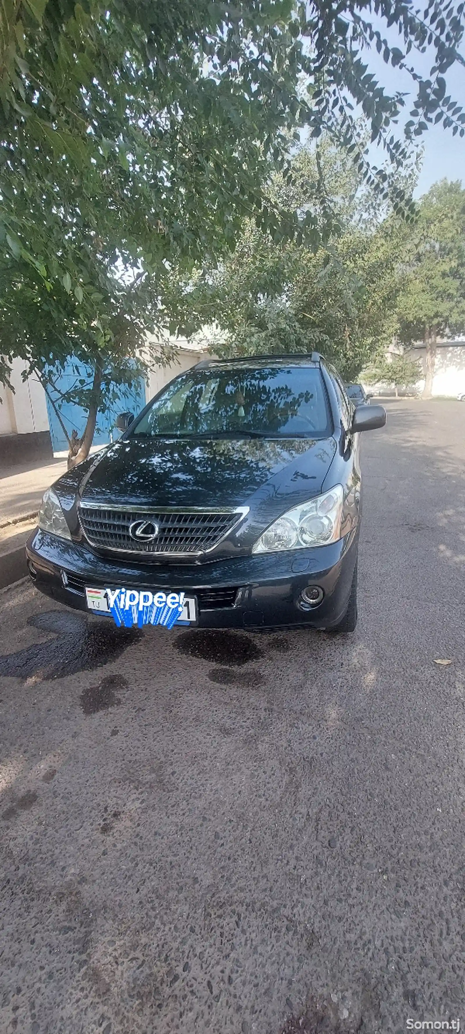 Lexus RX series, 2007-5