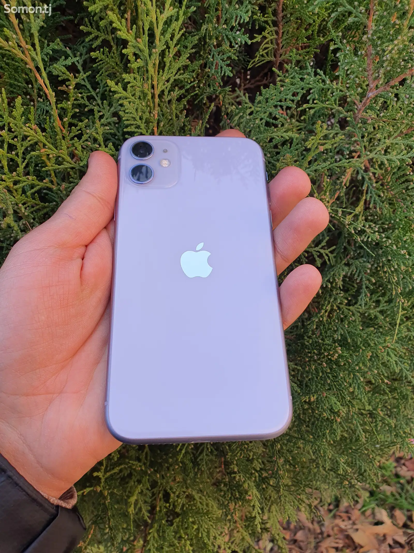 Apple iPhone 11, 64 gb, Purple-1